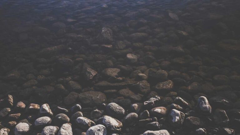 How To Access Live Matches On 99Exch Platform?